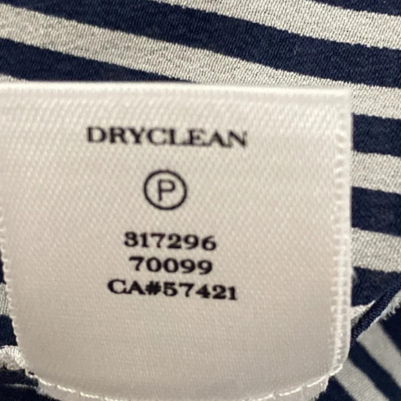 Ann Taylor Blue Cream Preppy Silk Pinstripe Academia Button Down Shirt Size 10 - Picture 9 of 9